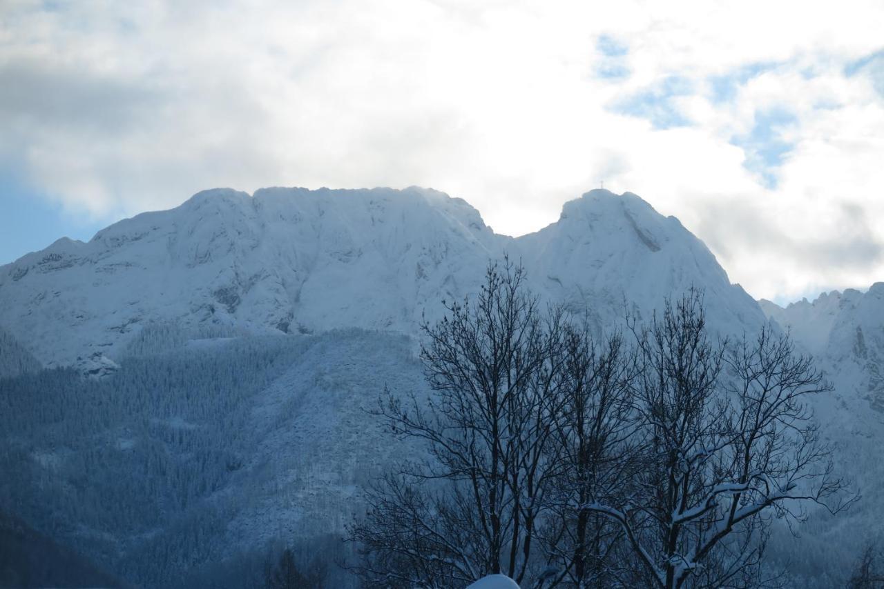 Pensjonat Jastrzebia Turnia Zakopane Exterior foto