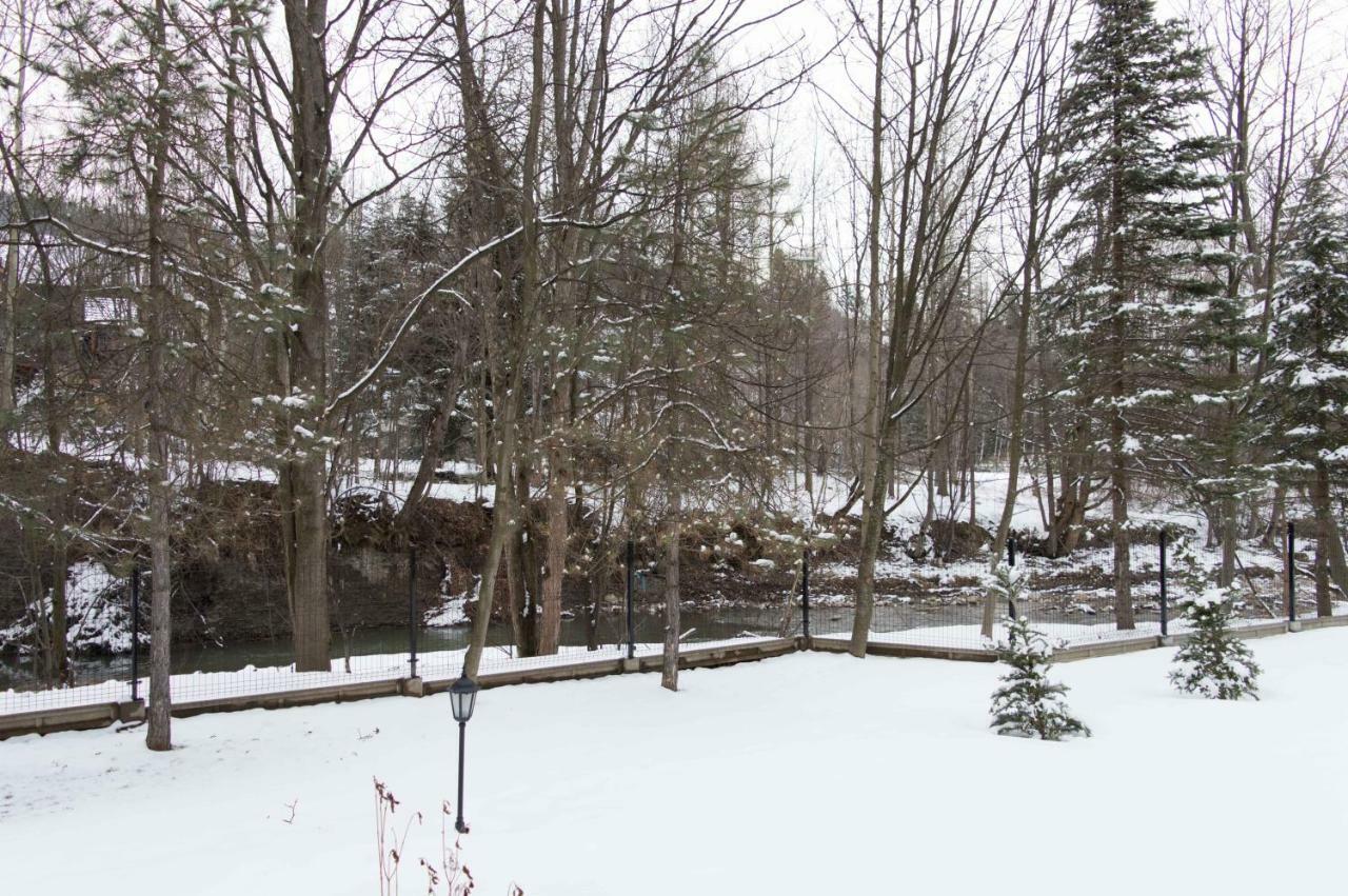 Pensjonat Jastrzebia Turnia Zakopane Exterior foto